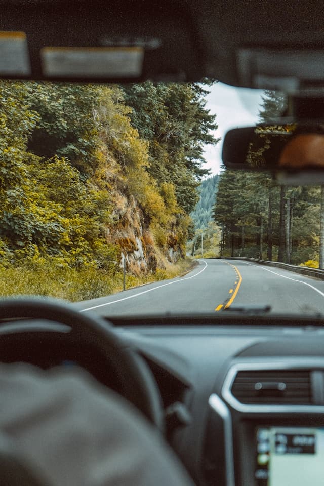 Driver on the road